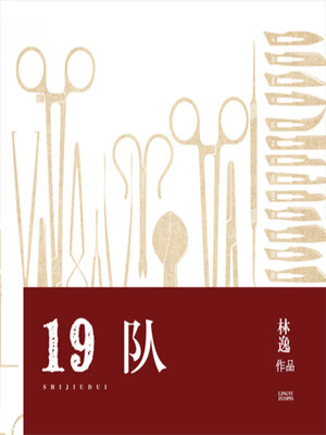 cover image of 19队